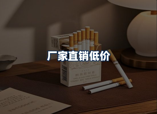 专业团队办公环境